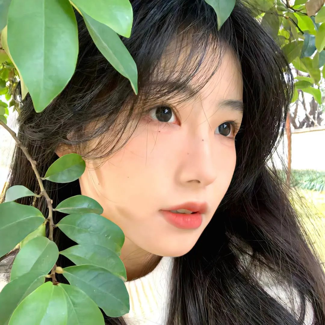乘上夏日影像